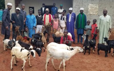 Goats, Goats, and More Goats