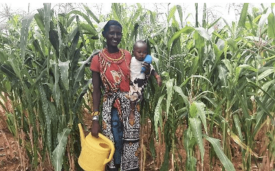 A Growing Garden Feeds More than One Family