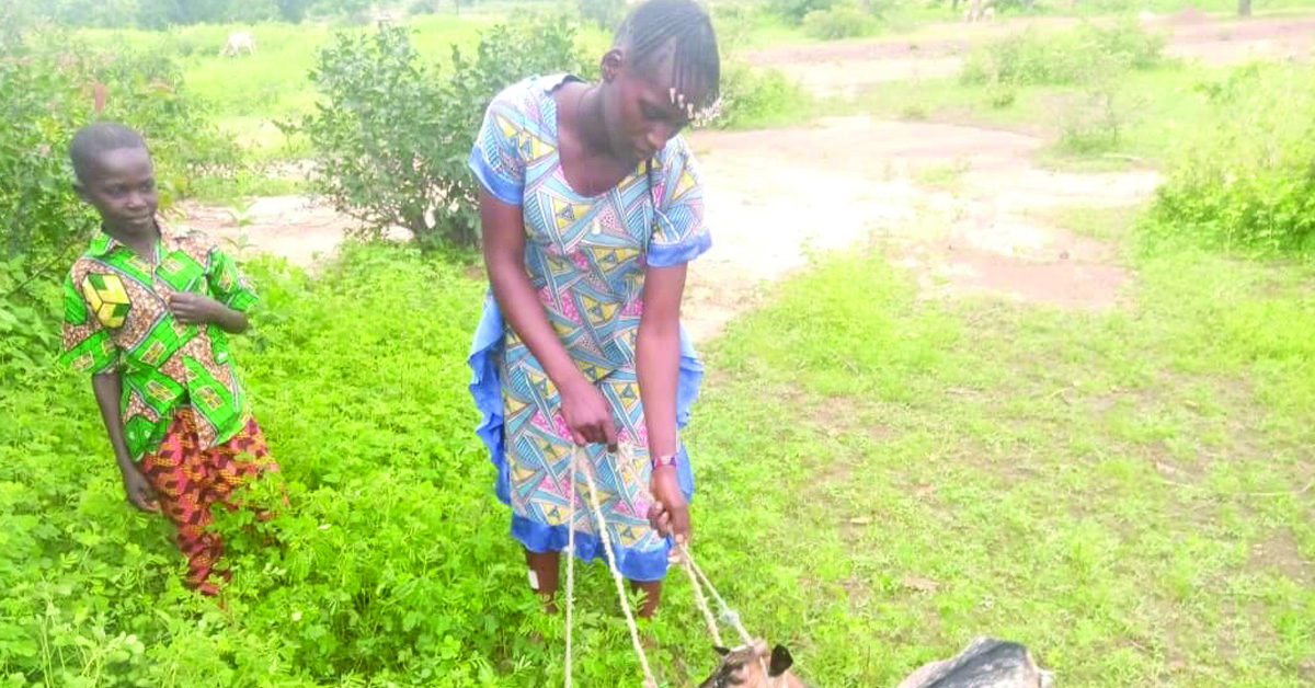 Village woman handling goats