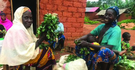 Smiles and Abundant Produce at Bankim Market