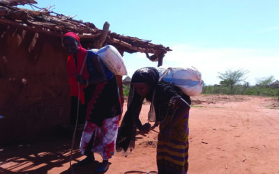 Diversification Leads to Drought Resistance