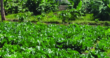 A Community Learns Together