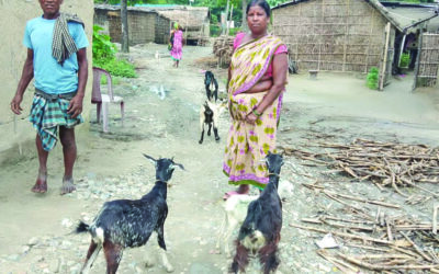 Seeking Solutions and Seeing Progress