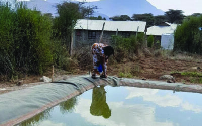 Learning Aquaculture Yields a New Type of Crop