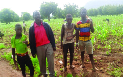 Let’s Grow with Fertiliser Lessons