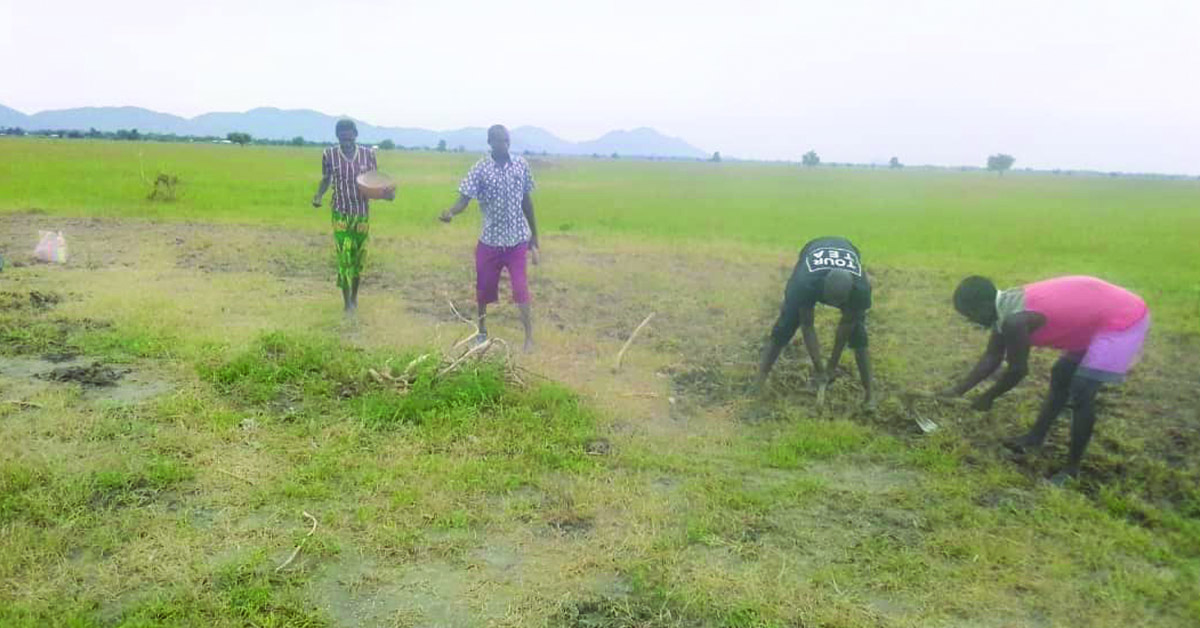 Cameroon villagers preparing the land for dry season farming