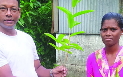 A Fruitful Partnership
