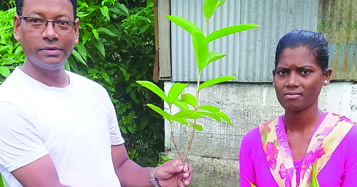 A man and woman holding a donated fruit tree