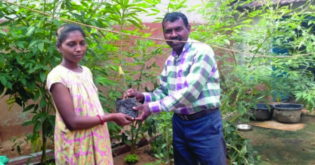 Nutrition Begins at Home