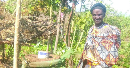 Localised Water Leads to Growing Gardens