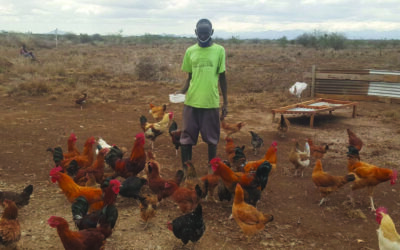 A Growth-Mindset Leads to Chicken Farming