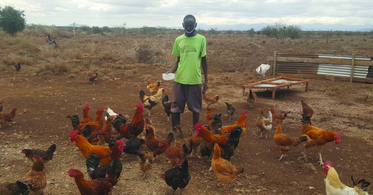 Attir villager, Mzee Ekai, with his large group of chickens.
