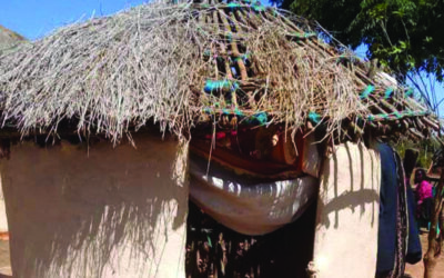 Adequate Sanitation is a Necessity