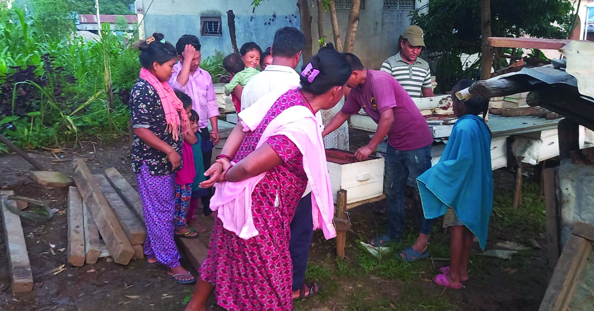 Ramantar villagers working with bees and honey.