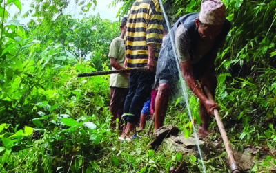 Food Project Completed!