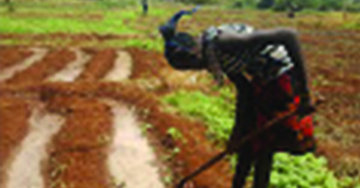 An Attir mother working on the field.