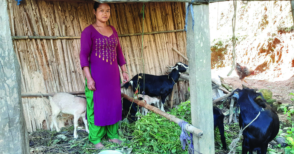 A Nepal woman standing next to her goats
