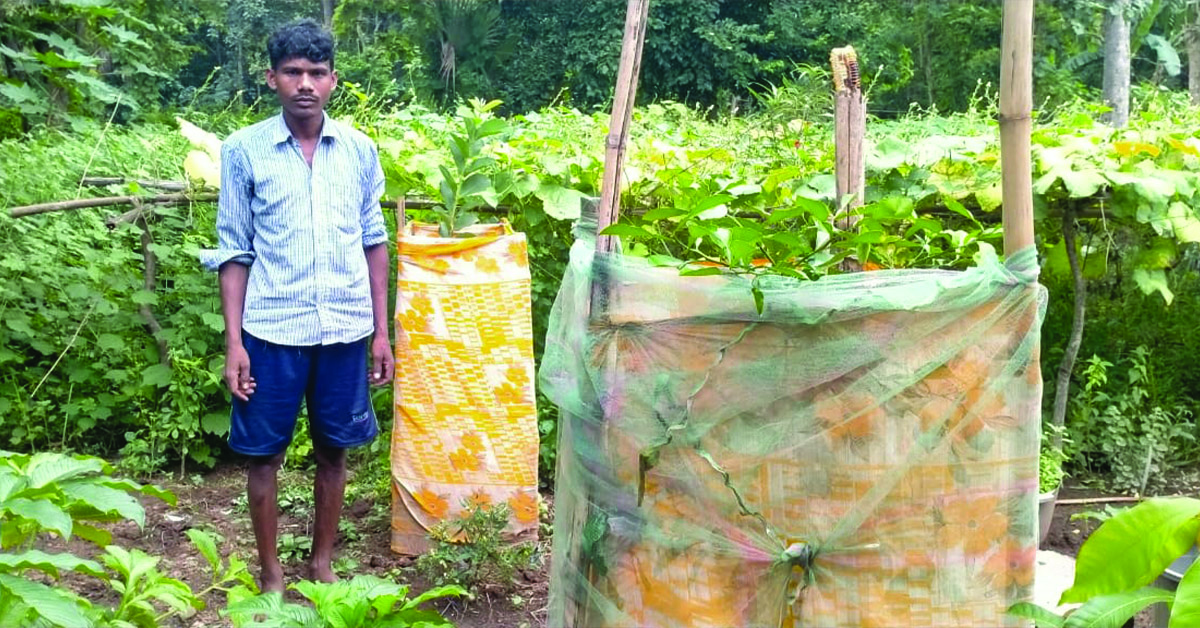 A Kharibari villager standing next to a fruit tree.