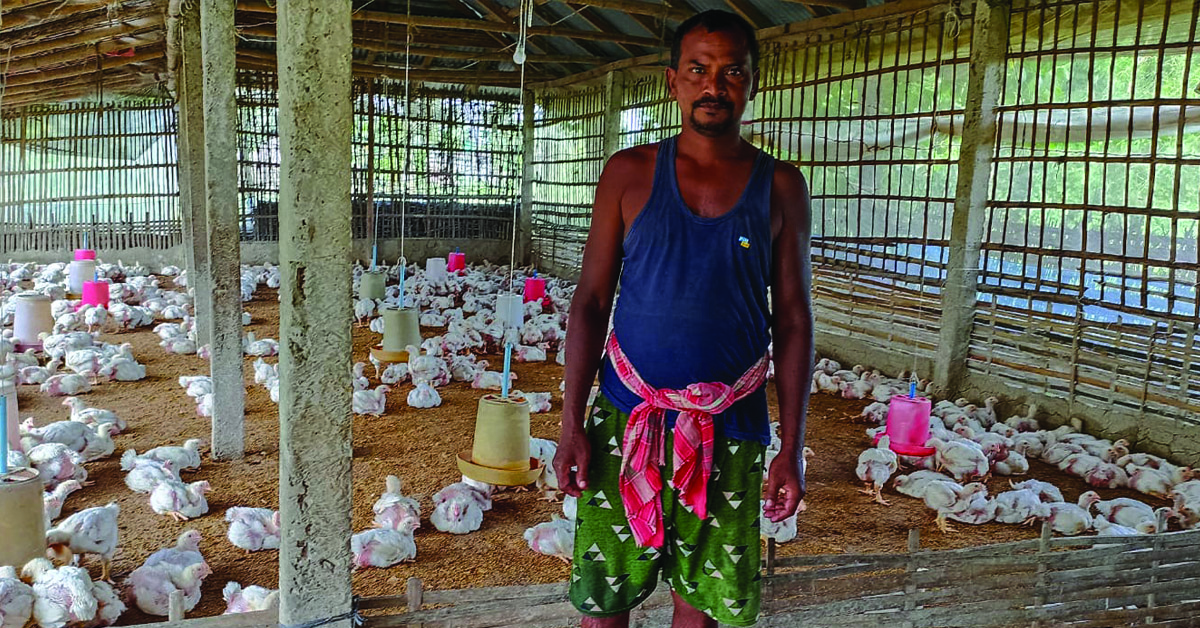 A Nepal farmer and large flock of chickens.