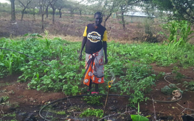 Economical Ideas for Farming