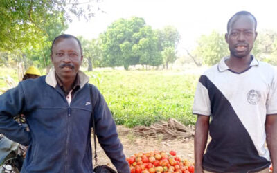 Organic Fertilizer Produces Flourishing Farmers