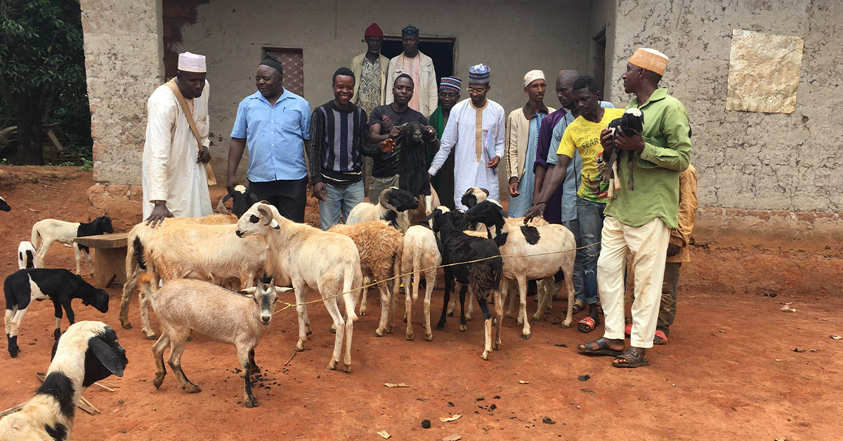 The Bankim Cameroon Goat Loan Committee.