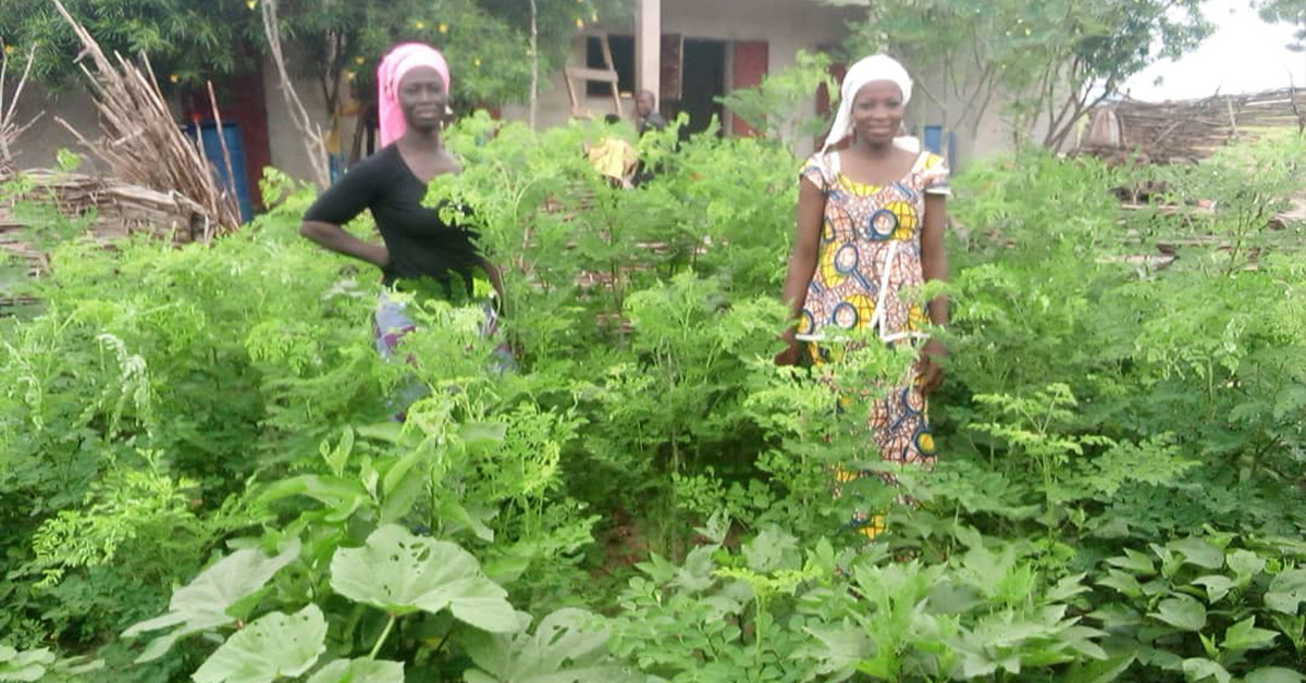 Two Cameroon women surrounded by their leafy green garden.