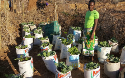 Two Villagers Spark a Community Movement
