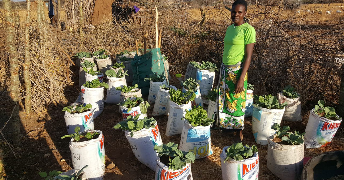 A Kenyan woman and her nursery plants.