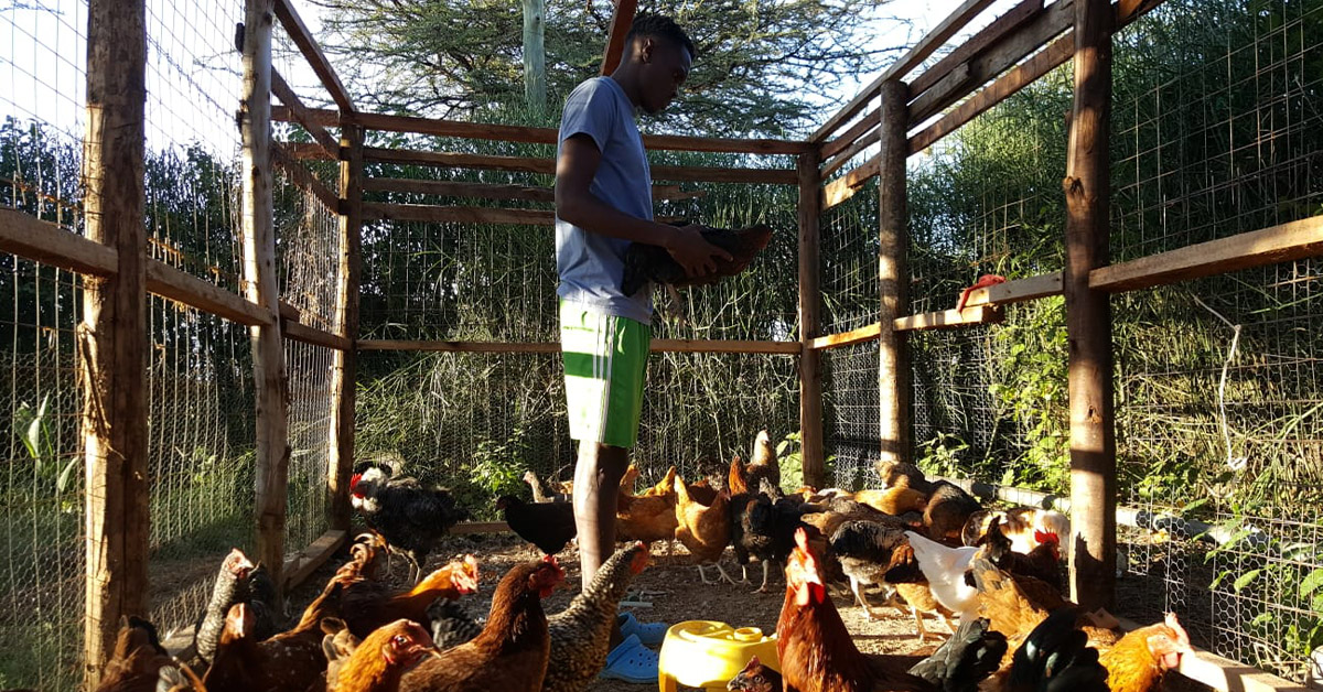 A Gem villager surrounded by his pen of chickens.