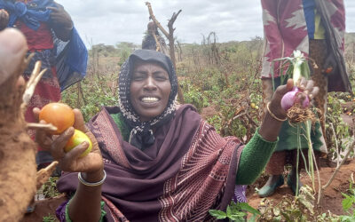 Growing Both a Garden and Sustainability