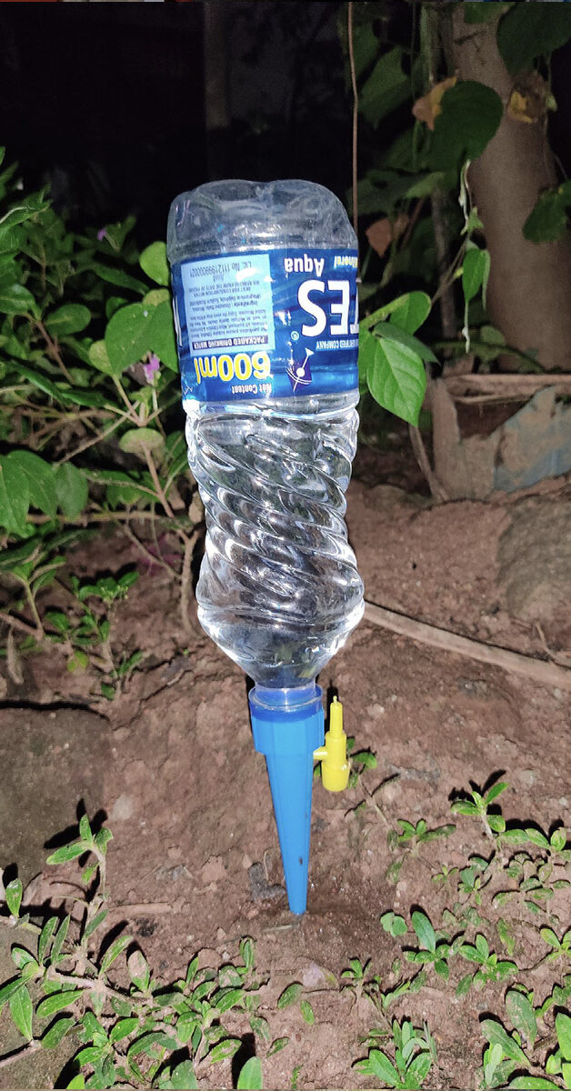 A bottle of water, with a pointy tip, planted on a garden as part of the irrigation system.