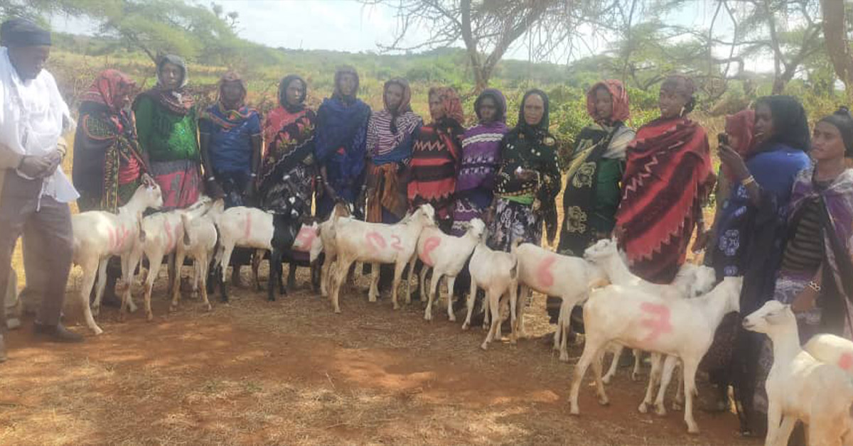 A group photo of the Harowayo villagers and their large amount of goats.