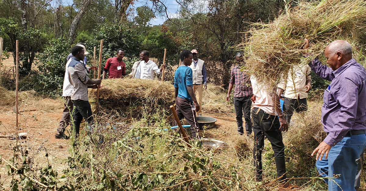 Tuti villagers working on their farmland,