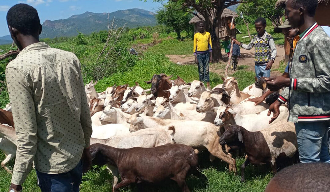 Goat Keeping Fits a Nomadic Lifestyle