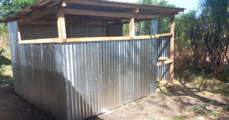 Building Care Through Healthy Food