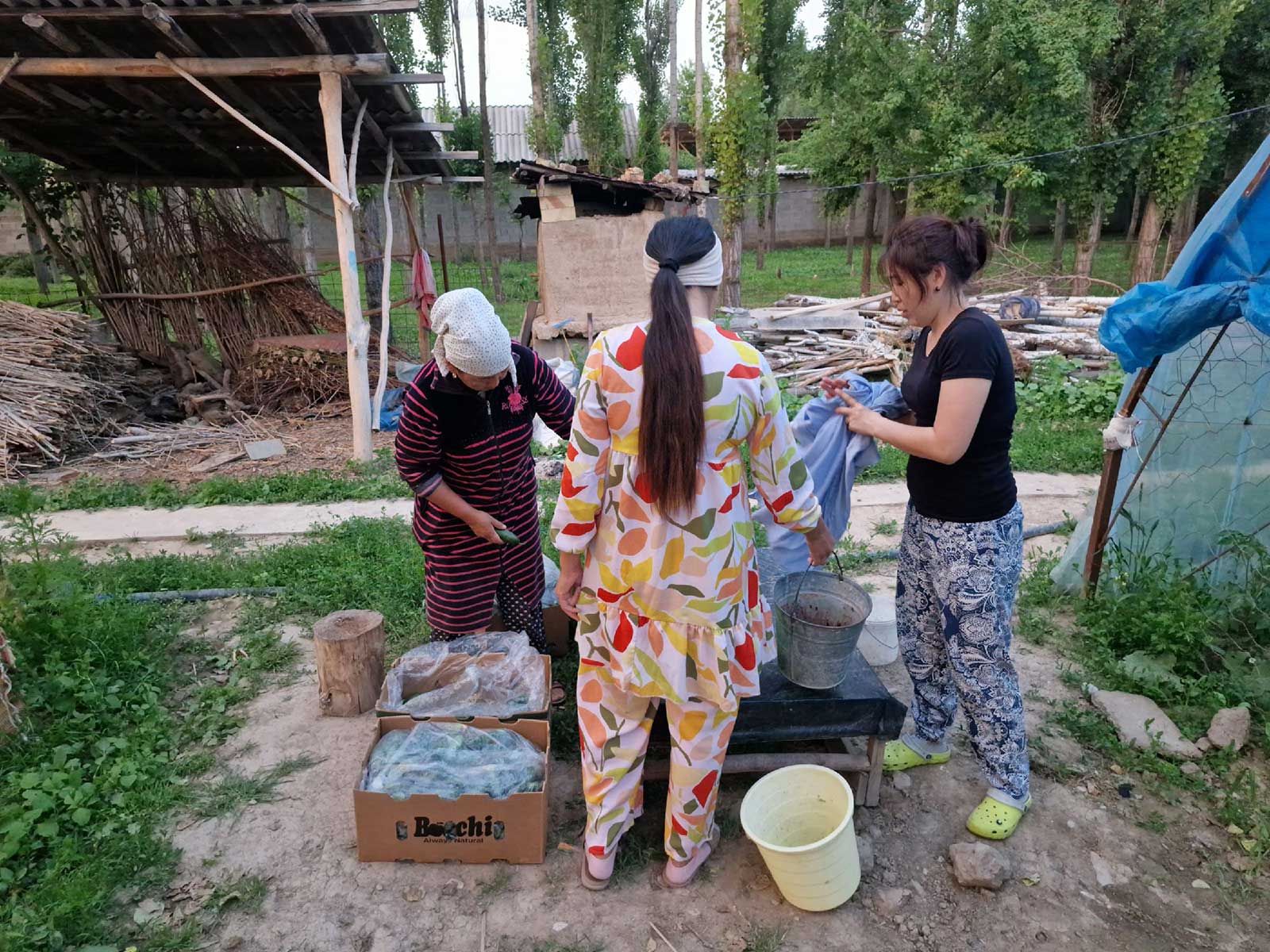 Kyrgystan villagers preparing their cucumbers to sell at the market.