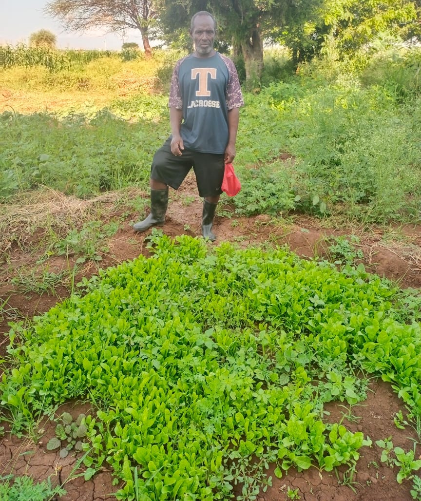 Kiwanjani villager, James, with his small spinach farm.