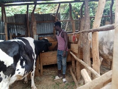 Living the Livestock Dream