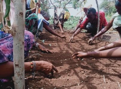 Securing a Stable Food Supply