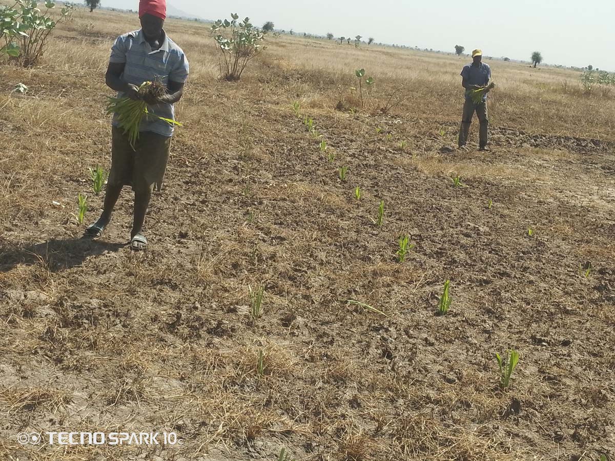 Two Ngassa villagers working on a sunny day.