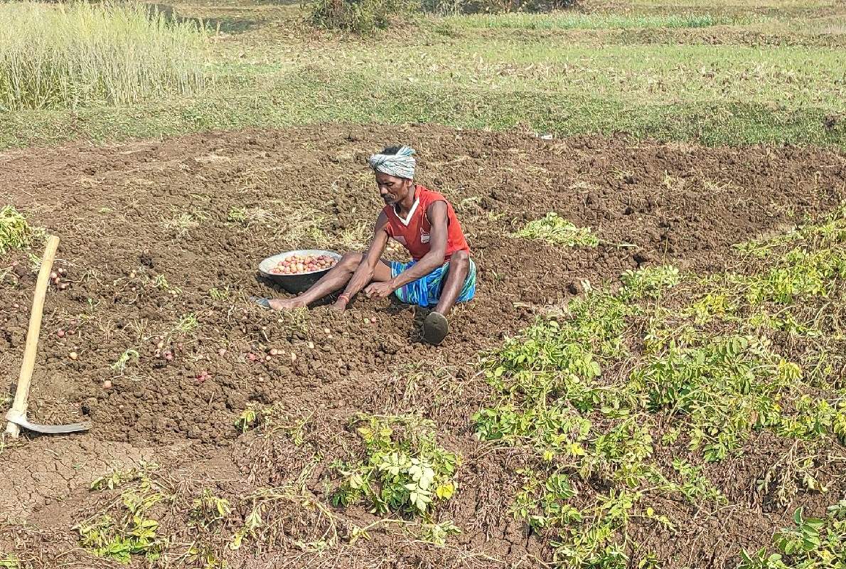 Baromasia man, Rakesh Kisku, sitting and working on his vegetable field.