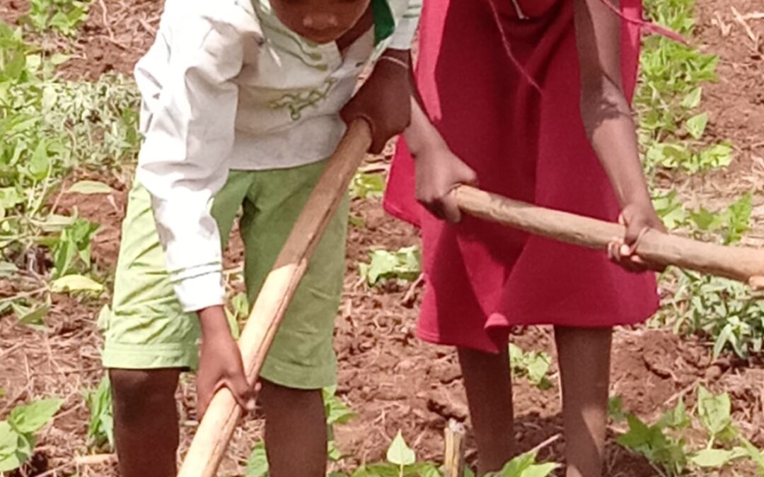 Maisha Bora, Kenya
