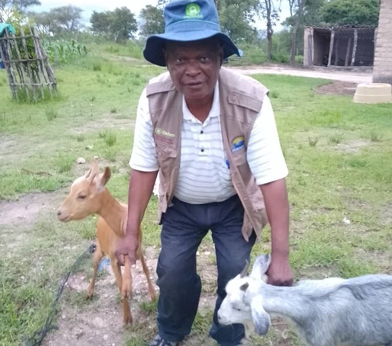 The Answer Is … Goats!