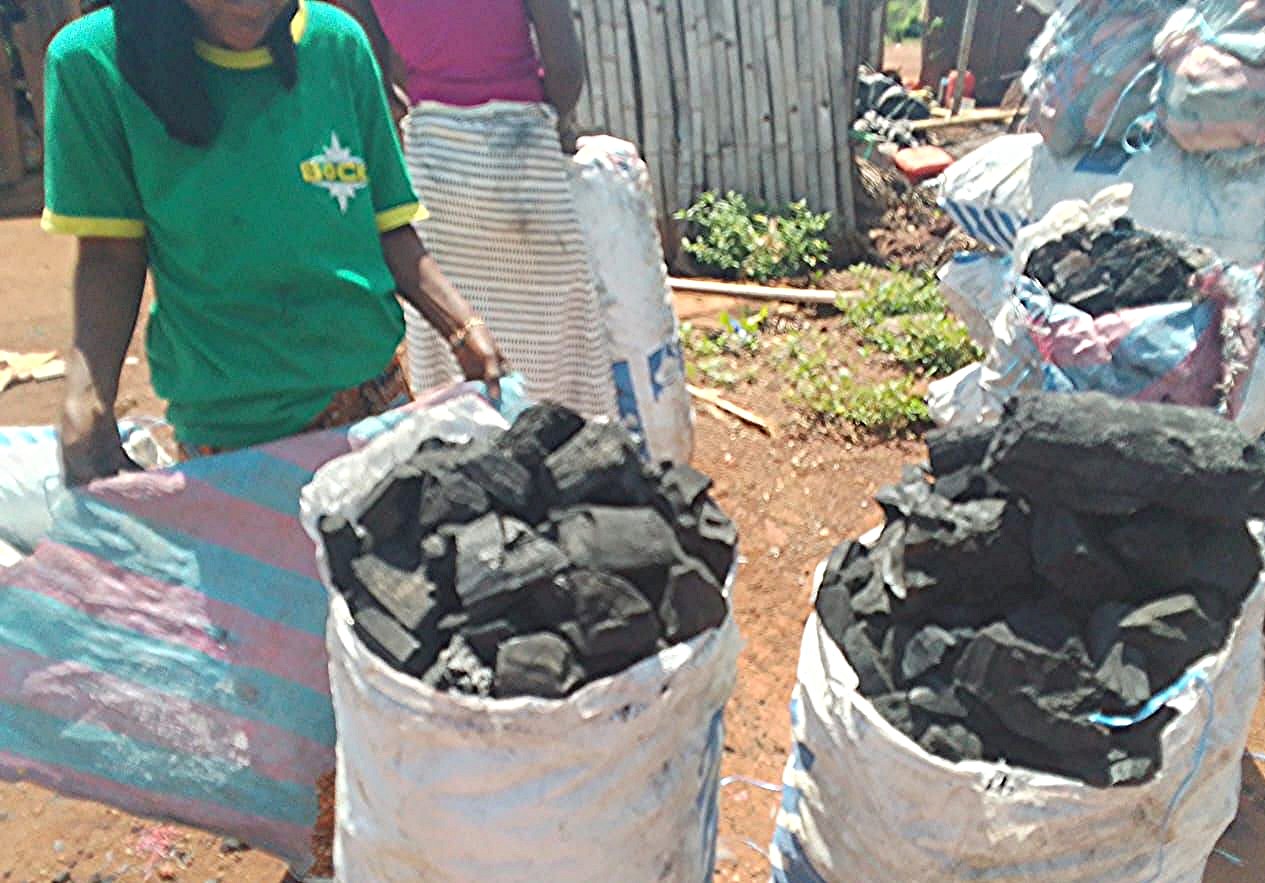 Two large bags of coal being presented.