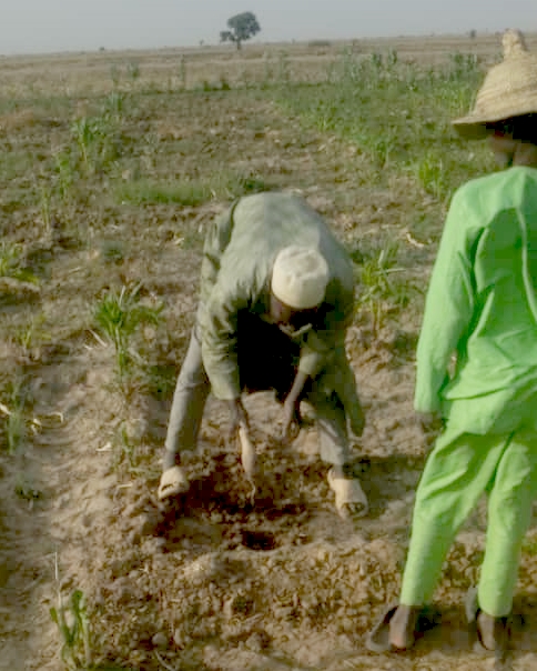 Ngassa villager, Marabu, planting seeds in the soil.