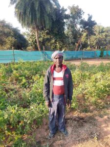 A Harvest of Hope