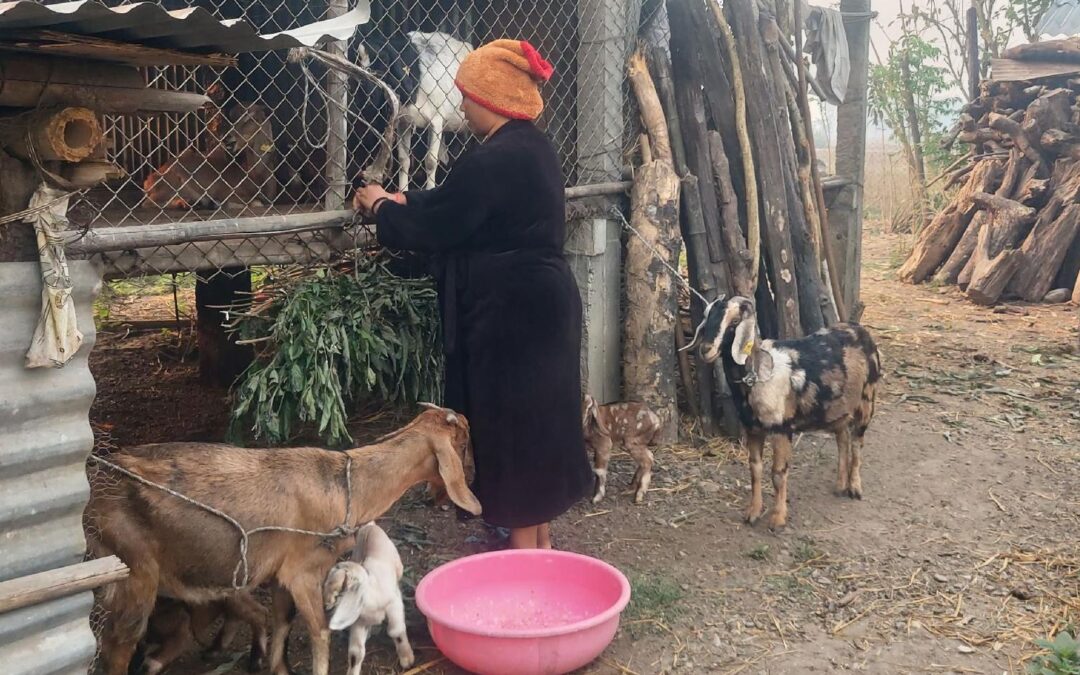 Income Generation, Education, & Health Lessons Transform Lives