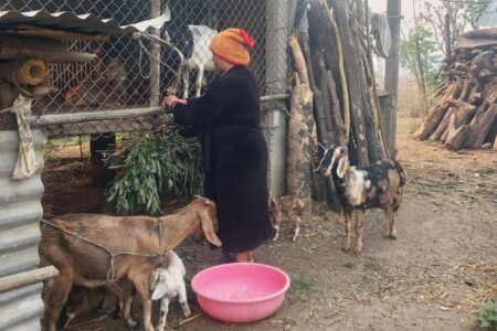 Income Generation, Education, & Health Lessons Transform Lives