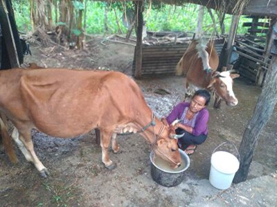 Perseverance, Training, & Seed Money Result in Sustainability